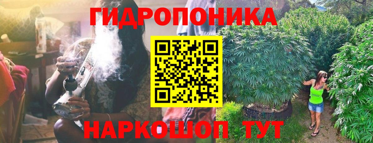Канабис конопля  Бошки Шишки OG Kush  Кизилюрт  Вход с VPN 